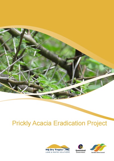 Prickly_Acacia_Eradication_Project_pg1