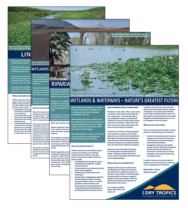 The Wetlands, Waterways & Coasts group has developed a series of factsheets on issues related to the Burdekin wetlands. These are available to download at http://www.nqdrytropics.com.au/factsheets/