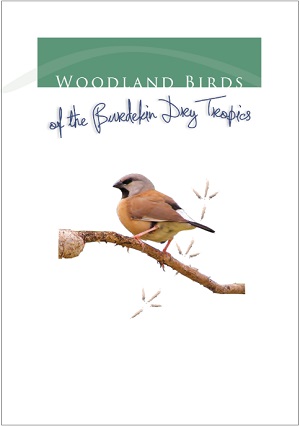 WoodlandBirds_pg1